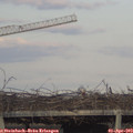 18_40-mast.jpg