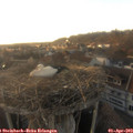 18_40-nest.jpg
