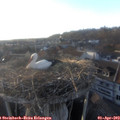 18_45-nest.jpg
