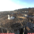 18_55-nest.jpg