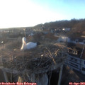 19_15-nest.jpg
