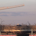 19_25-mast.jpg