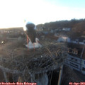 19_30-nest.jpg