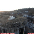 19_40-nest.jpg