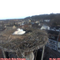 07_05-nest.jpg
