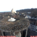 07_10-nest.jpg