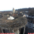 07_15-nest.jpg