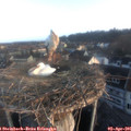 07_20-nest.jpg