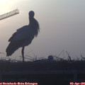 07_25-mast.jpg