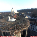 07_25-nest.jpg