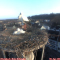 07_30-nest.jpg