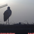 07_35-mast.jpg