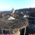 07_35-nest.jpg