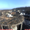 08_10-nest.jpg