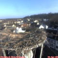 08_15-nest.jpg