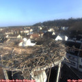 08_20-nest.jpg