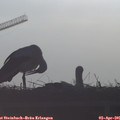 08_25-mast.jpg