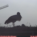 08_30-mast.jpg