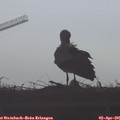 08_45-mast.jpg