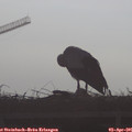 08_50-mast.jpg