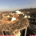 08_50-nest.jpg