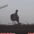 08_55-mast.jpg