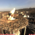 08_55-nest.jpg