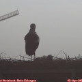 09_00-mast.jpg