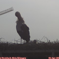 09_10-mast.jpg
