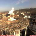09_10-nest.jpg