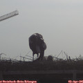 09_15-mast.jpg