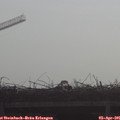 09_20-mast.jpg