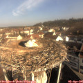 09_20-nest.jpg