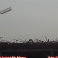 09_25-mast.jpg