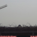 09_30-mast.jpg