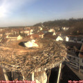 09_35-nest.jpg