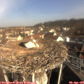 09_40-nest.jpg