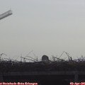 09_45-mast.jpg