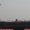 10_00-mast.jpg