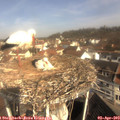 10_20-nest.jpg