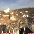 10_25-nest.jpg