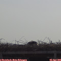 10_30-mast.jpg