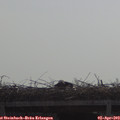 10_35-mast.jpg