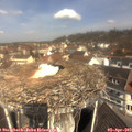 11_10-nest.jpg