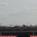 11_25-mast.jpg
