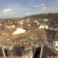 11_25-nest.jpg