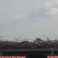 11_30-mast.jpg