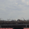 11_35-mast.jpg
