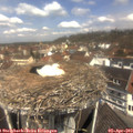 11_50-nest.jpg