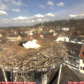 11_55-nest.jpg